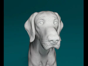 Vyzsla 3D Print Model
