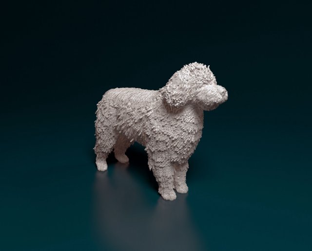 Water dog 3D-Druckmodell .c4d .max .obj .3ds .fbx .stl .blend 