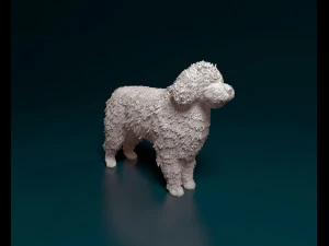 Water dog 3D Print Model