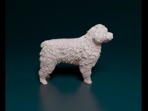 Water dog 3D-Druckmodell