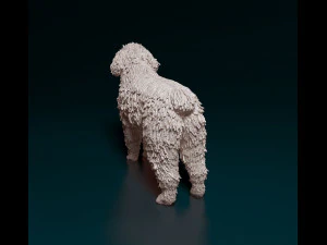 Water dog 3D Print Model