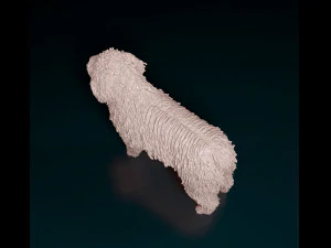 Water dog 3D Print Model