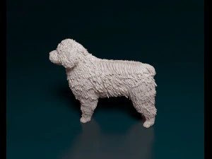 Water dog 3D Print Model