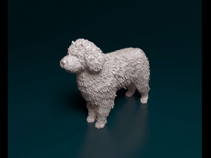 Water dog 3D-Druckmodell