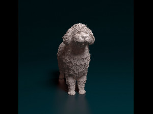 Water dog 3D-Druckmodell