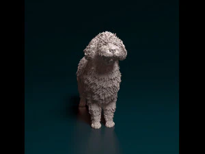 Water dog 3D Print Model