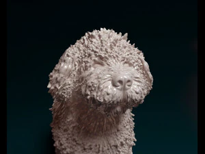 Water dog 3D Print Model