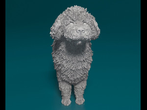 Water dog 3D-Druckmodell