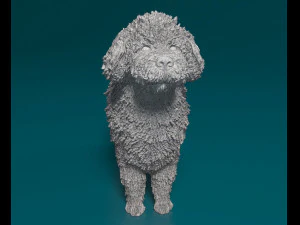 Water dog 3D Print Model