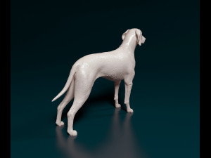 Weimaraner Modelo de impresión 3D