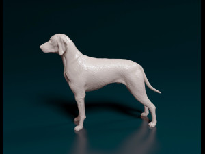 Weimaraner Modelo de impresión 3D