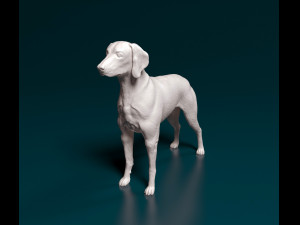 Weimaraner Modelo de impresión 3D