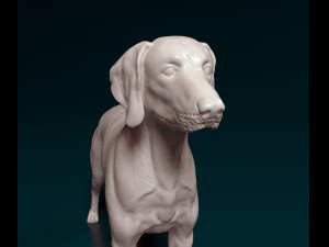 Weimaraner Modelo de impresión 3D