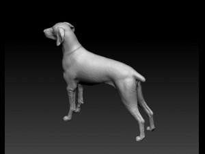 Weimaraner Modelo de impresión 3D