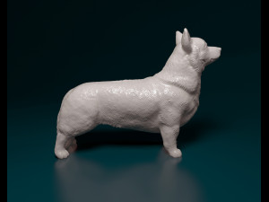 Welsh Corgi Pembroke 3D-Druckmodell