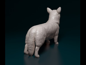 Welsh Corgi Pembroke 3D-Druckmodell