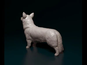Welsh Corgi Pembroke 3D Print Model