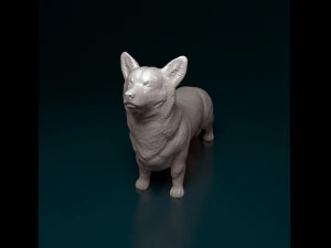 Welsh Corgi Pembroke 3D Print Model