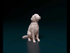Springer Spaniel Gal&eacute;s Modelo de impresión 3D