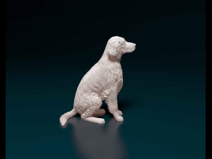 Welsh Springer spaniel Modello di stampa 3D