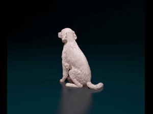 Welsh Springer spaniel Modello di stampa 3D