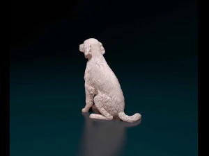 Welsh Springer spaniel 3D Print Model