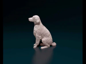 Welsh Springer spaniel 3D Print Model