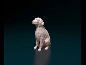 Welsh Springer spaniel 3D Print Model