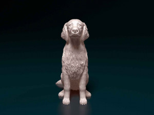 Welsh Springer spaniel Modello di stampa 3D