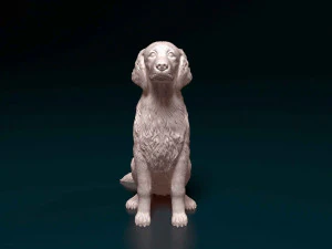 Welsh Springer spaniel 3D Print Model