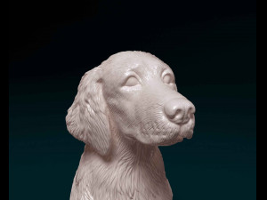 Welsh Springer spaniel Modello di stampa 3D