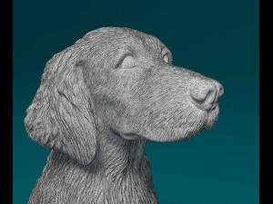Welsh Springer spaniel Modello di stampa 3D