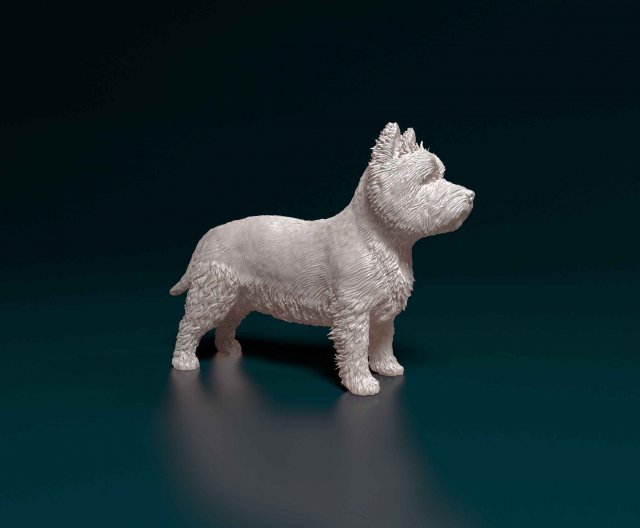 West highland white terrier 3D Print Model .c4d .max .obj .3ds .fbx .stl .blend 