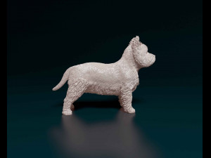West highland white terrier 3D Print Model