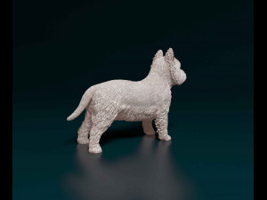 West highland white terrier 3D Print Model