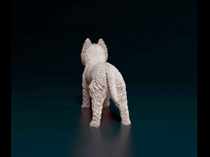 West highland white terrier 3D Print Model