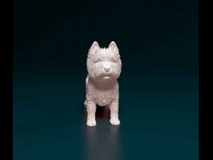 West highland white terrier 3D Print Model