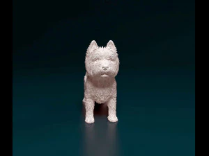 West highland white terrier 3D Print Model