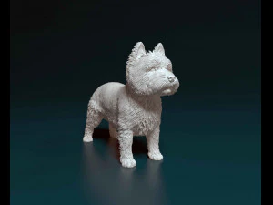 West highland white terrier 3D Print Model
