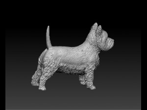 West highland white terrier 3D Print Model