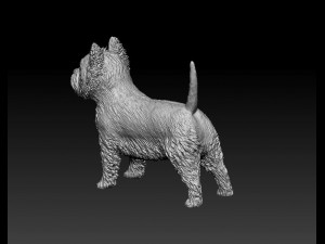West highland white terrier 3D Print Model