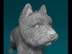 West highland white terrier 3D Print Model