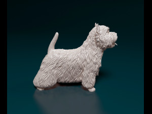 West highland white terrier with tongue Model Cetak 3D