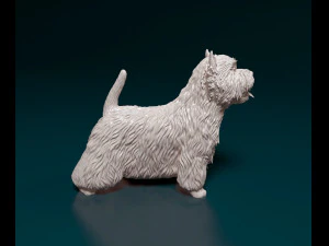 West highland white terrier with tongue 3D Print Model