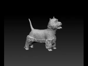 West highland white terrier with tongue 3D Print Model
