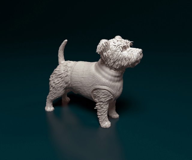 West highland white terrier in a shirt 3D Baskı Modeli .c4d .max .obj .3ds .fbx .stl .blend 