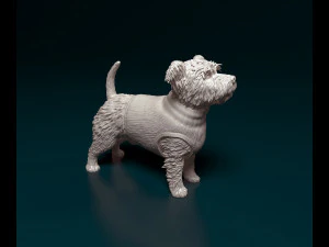West highland white terrier in a shirt 3D Print Model