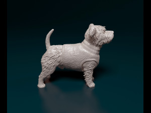 West highland white terrier in a shirt 3D Baskı Modeli