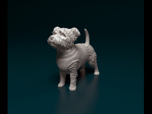West highland white terrier in a shirt 3D Baskı Modeli
