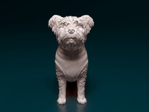 West highland white terrier in a shirt 3D Baskı Modeli